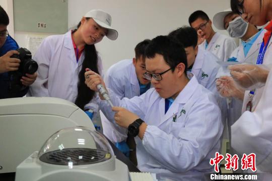 滇黔桂60名高中生云南体验“微科研” 探索“科学营”